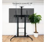 TooQ ZEUS 2,54 m (100") Negro