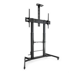 TooQ ZEUS 2,54 m (100") Negro