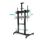 TooQ ZEUS 2,54 m (100") Negro