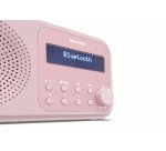 Sharp DR-P420 Portatile Digitale Rosa