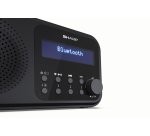 Sharp DR-P420 Portatile Digitale Nero