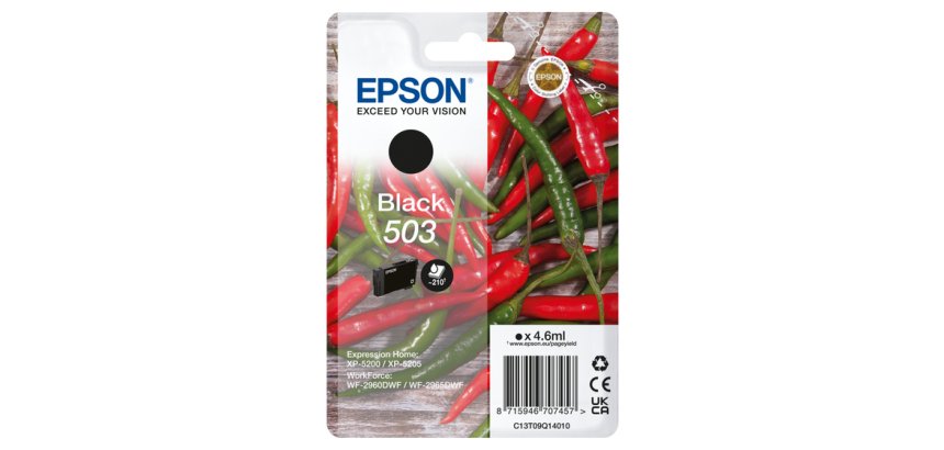 Epson Singlepack Black 503 Ink