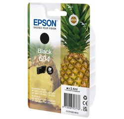 Epson Singlepack Black 604 Ink