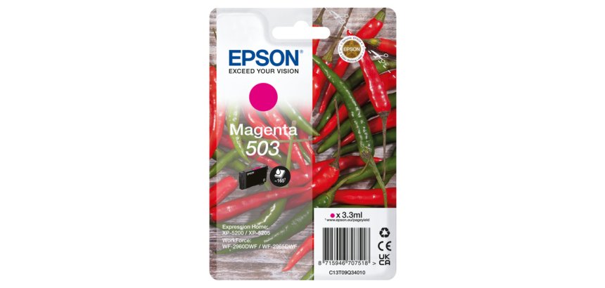 Epson Singlepack Magenta 503 Ink