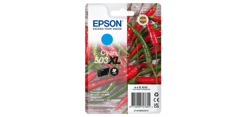 Epson Singlepack Cyan 503XL Ink