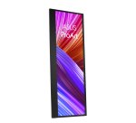 ASUS ProArt PA147CDV pantalla para PC 35,6 cm (14") 1920 x 550 Pixeles LCD Pantalla táctil Negro