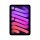 Apple iPad