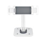 StarTech.com Support de Tablettes Réglable pour Bureau - Support Mural - Capacité 1kg - Support Universel Ergonomique et Articulé pour Tablettes - Support Tablette sur Pied Pivotant/Rotatif