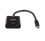 Lindy Convertisseur USB Type C vers DisplayPort 4K144