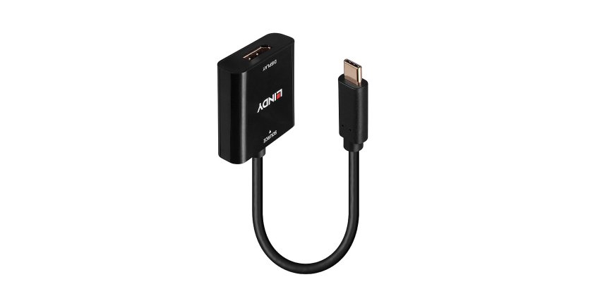 Lindy Convertisseur USB Type C vers DisplayPort 4K144