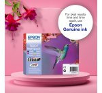 Epson Hummingbird Singlepack Cyan T0802 Claria Photographic Ink