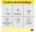 HP Souris double 250