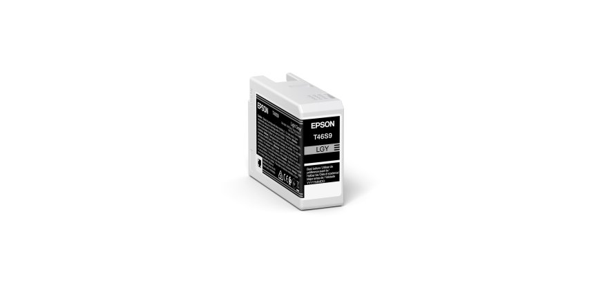 Epson UltraChrome Pro cartouche d'encre 1 pièce(s) Original Gris clair