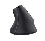 Trust Voxx souris Bureau Droitier RF sans fil + Bluetooth Optique 2400 DPI
