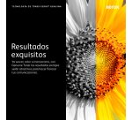 Xerox 106R03737 cartucho de tóner 1 pieza(s) Original Negro