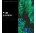 Xerox Versalink C400/C405 Cartucho De Tóner Negro De Alta Capacidad (5000 Páginas)