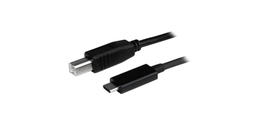 StarTech.com Câble USB-B vers USB-C de 1m, Câble de Transfert de Données, USB 2.0, USB-C