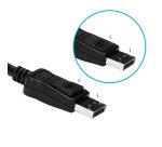 StarTech.com Adaptateur / Convertisseur vidéo DisplayPort vers DVI - M/F - 1920x1200 / 1080p