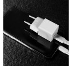 Lindy Chargeur USB Type C GaN 20W