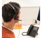 HP Poly Blackwire 5220 stereo USB-C-headset + 3,5 mm stekker + USB-C/A-adapter (bulk)