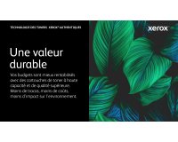 Xerox Toner Magenta 006R04829 grande capacité pour imprimante laser