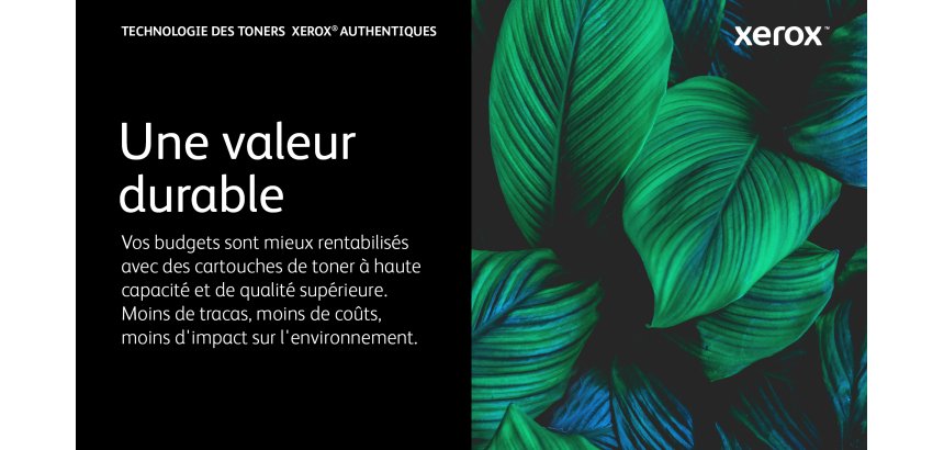 Xerox C320/C325 Toners couleurs séparées grande capacité pour imprimante laser