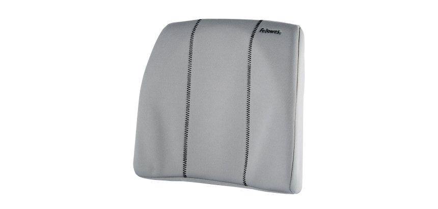 Fellowes Support dorsal fin Gris