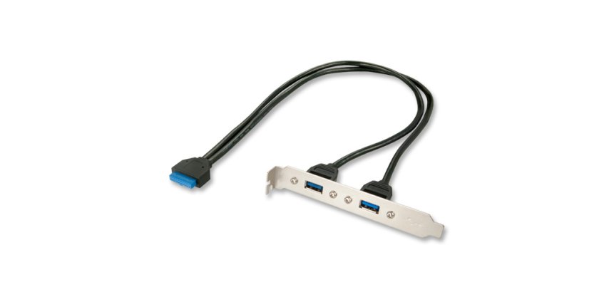 Lindy Adaptateur slot USB 3.0, 2 x USB 3.0 prises Type A