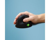 R-Go Tools Souris Ergonomique R-Go HE Break avec logiciel de pause, droiter, petit (longueur de la main &lt; 165 mm), filaire, noir