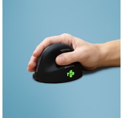 R-Go Tools Souris Ergonomique R-Go HE Break avec logiciel de pause, droiter, petit (longueur de la main &lt; 165 mm), filaire, noir