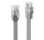 Lindy 47490 cable de red Gris 0,3 m Cat6 U/UTP (UTP)