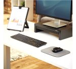 Tapis souris antibactérien Fellowes Microban argent