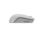 Lenovo Mouse wireless 300 compatto (Grigio Artico)
