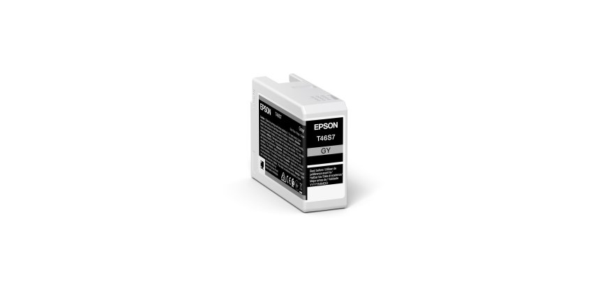 Epson UltraChrome Pro cartouche d'encre 1 pièce(s) Original Gris