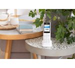 Fon FRITZ! X6 Teléfono DECT Identificador de llamadas Blanco