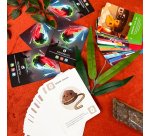 Asmodee Happy Little Dinosaurs