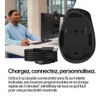 HP Souris ergonomique inclinable 720M