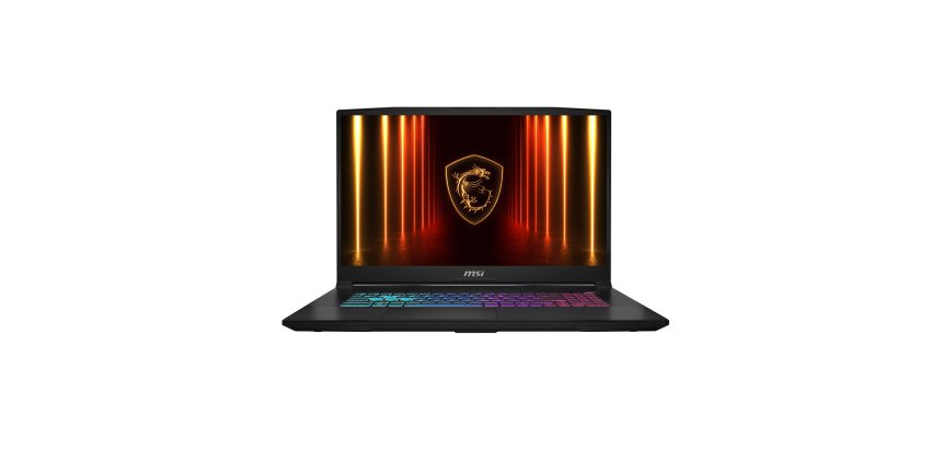 MSI Katana 17 HX B14WGK-014FR Intel® Core™ i7 i7-14650HX Ordinateur portable 43,9 cm (17.3") Quad HD 32 Go DDR5-SDRAM 1 To SSD NVIDIA GeForce RTX 5070 Wi-Fi 6E (802.11ax) Windows 11 Pro Français Noir