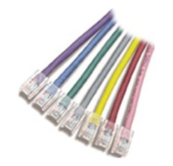 APC 10ft Cat5e UTP cavo di rete Grigio 3,05 m U/UTP (UTP)