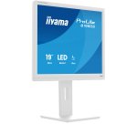 iiyama ProLite B1980S-W1 écran plat de PC 48,3 cm (19") 1280 x 1024 pixels SVGA LED Blanc