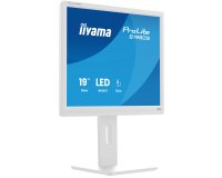 iiyama ProLite B1980S-W1 écran plat de PC 48,3 cm (19") 1280 x 1024 pixels SVGA LED Blanc