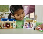 LEGO Nook's Cranny & Rosie's House