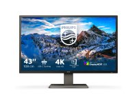 Philips P Line 439P1/00 LED display 108 cm (42.5") 3840 x 2160 pixels 4K Ultra HD LCD Black