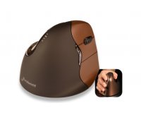 Souris bakker evoluent 4 droitier sans fil petit