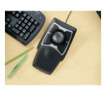 Kensington Trackball cablato Expert Mouse