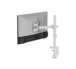 Equip Soporte de escritorio articulado para monitor de 17«-32», blanco