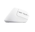 Trust Bayo II souris Bureau Droitier RF sans fil Optique 2400 DPI