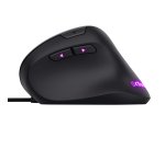 Trust GXT 144 Rexx souris Gaming Droitier USB Type-A Optique 10000 DPI