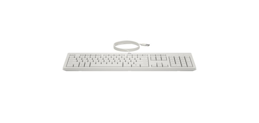 HP Ensemble combiné clavier et souris filaires 225