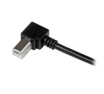 StarTech.com Câble USB 2.0 A vers USB B coudé à droite Mâle / Mâle pour imprimante noir - 2 m